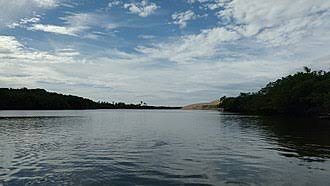 Vamos pensar nos peixes?